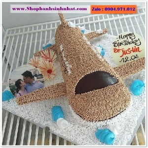 Bánh Sinh Nhật Máy Bay - MA09